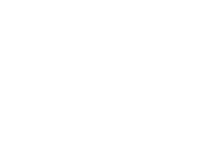 logo_NAIFA_white_300w