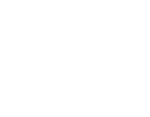 logo_NAIFA_white